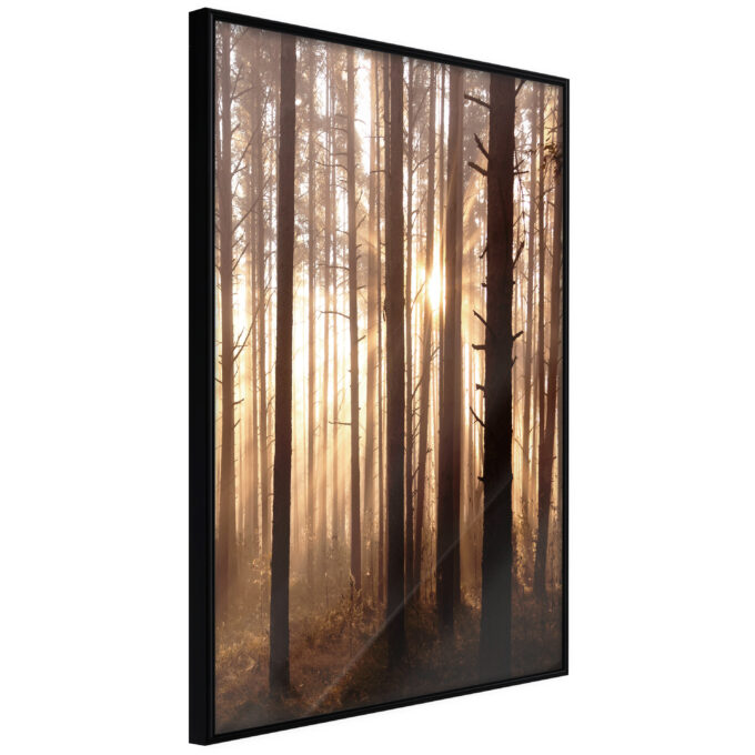Artgeist Plakat Med Ramme Morning In The Forest Guld 40x60 Fra Artgeist