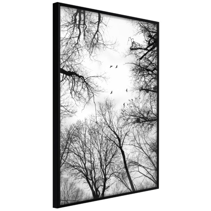 Artgeist Plakat Med Ramme Treetops Guld 20x30 Fra Artgeist