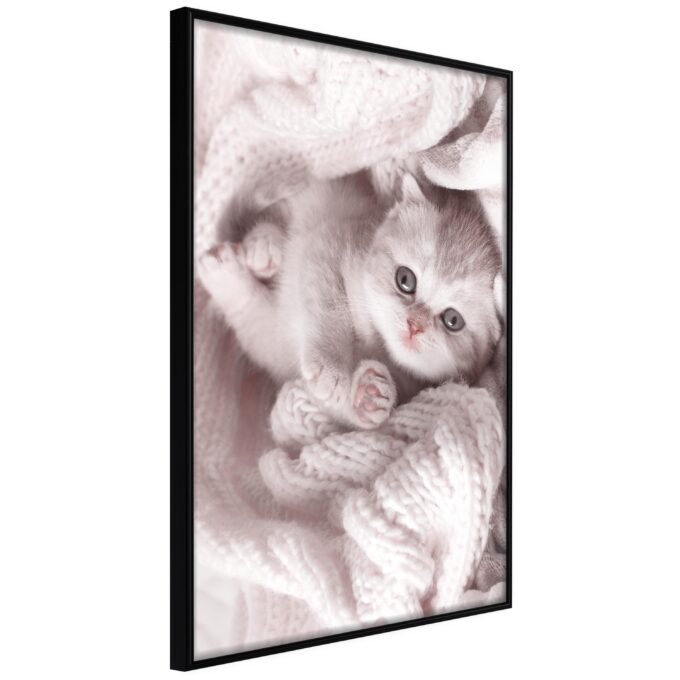 Plakat Lover Of Rest 40 X 60 Cm Sort Ramme Fra Boligcenter
