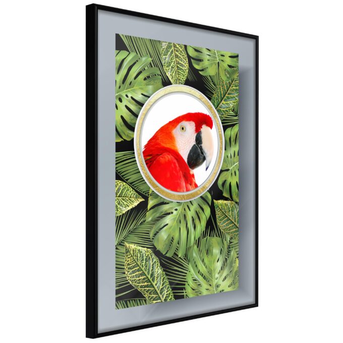 Plakat Parrot In The Jungle 20 X 30 Cm Sort Ramme Fra Boligcenter