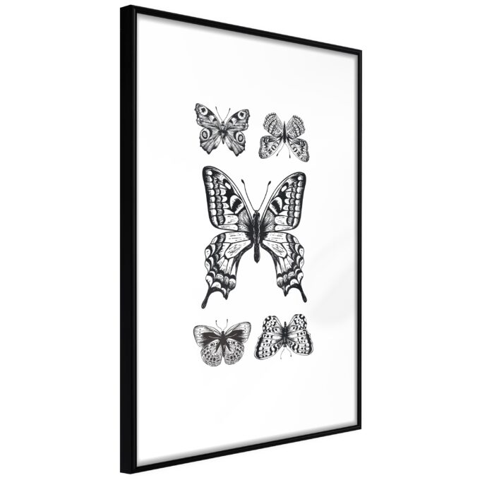 Plakat Five Butterflies 40 X 60 Cm Sort Ramme Fra Boligcenter