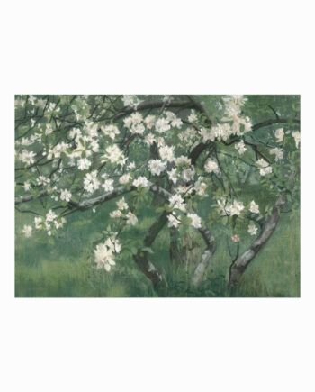 Antik Plakat  Apple Tree In Blossom