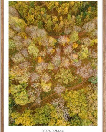 Plakat Fruens Plantage    Naturplakat   Recommended Products  Seguno    Plakat   Plakatsnedkeren   Drone-plakater