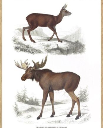 Plakat Med Rådyr Retro Plakat