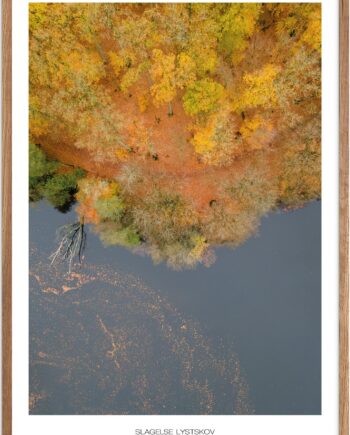 Plakat Slagelse Lystskov   Naturplakat   Plakater Vestsjælland   Plakat   Plakatsnedkeren   Drone-plakater