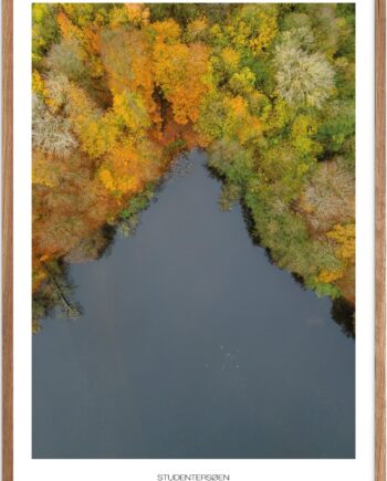 Plakat Studentersøen   Naturplakat   Plakater Vestsjælland   Plakat   Plakatsnedkeren   Drone-plakater